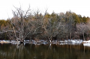 Winter On The River
